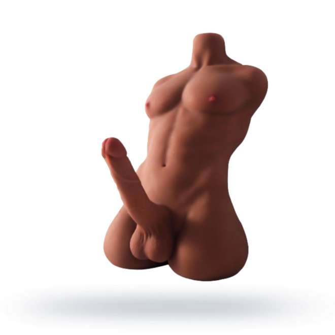 Mannelijke Seks Torso - 8 kg - 18cm